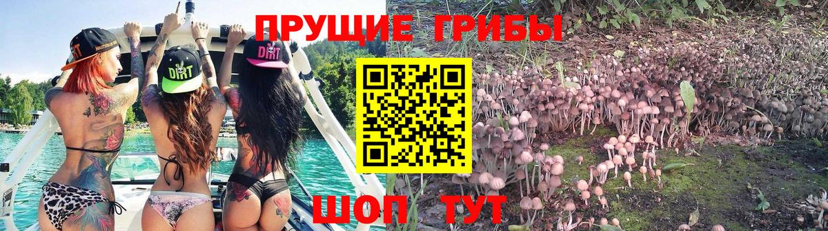 Галлюциногенные грибы MAGIC MUSHROOMS Уссурийск